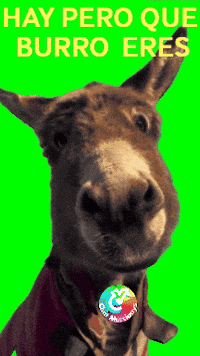 Amigos Saludos GIF by Murcianys LLC