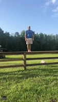 Watch Your Back, Simone Biles: Alabama Dad Sticks the Landing in Goof-Off 'Balance Beam' Routine