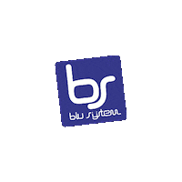 BluSystem cybersecurity pavia blu system blusystem Sticker