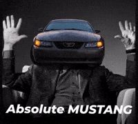 Mustang Gravy GIF