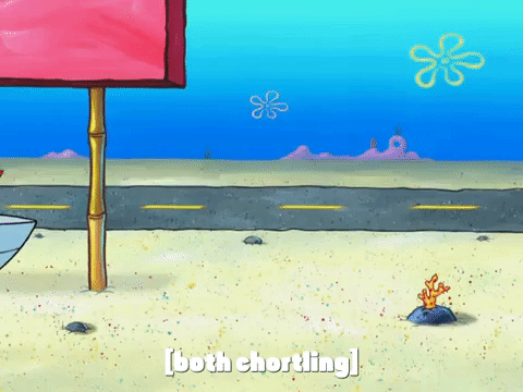 season 8 GIF by SpongeBob SquarePants