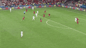 portugal poland GIF by Sporza