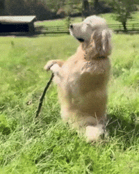 Vibing Good Morning GIF