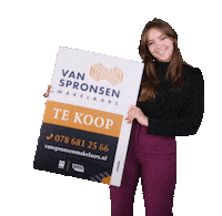 VanSpronsenMakelaars van spronsen van spronsen makelaar makelaar hendrik ido ambacht Sticker