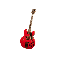 Oh Man Guitar Sticker by Joe Bonamassa