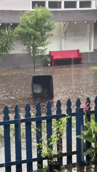 Trash Can Floats in Flooded New Orleans Street