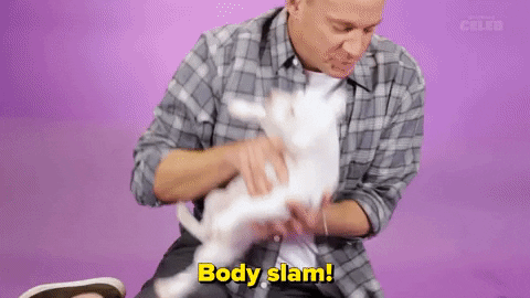 Channing Tatum Dog GIF by BuzzFeed