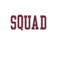 Santa Clara University Go Broncos Sticker by Santa Clara Broncos
