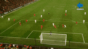 Celebration Reaction GIF by MolaTV