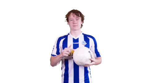 Voetbalvereniging_Scherpenzeel giphyupload sport voetbal bal Sticker