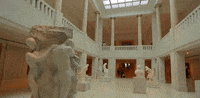 chicago illinois GIF
