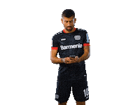 Bayer 04 Selfie Sticker by Bayer 04 Leverkusen