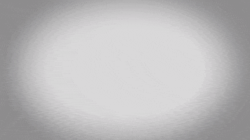 Hendrick Motorsports Byron GIF by NASCAR