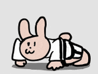 fabianfucci fitness rabbit training taekwondo GIF