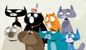 Shocked Oh No GIF by Kitty Is Not A Cat