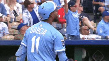 Lets Go Baseball GIF by Kansas City Royals