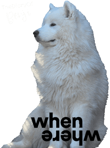 Question Benji Sticker