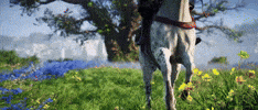 Game Time Horse GIF by Ubisoft