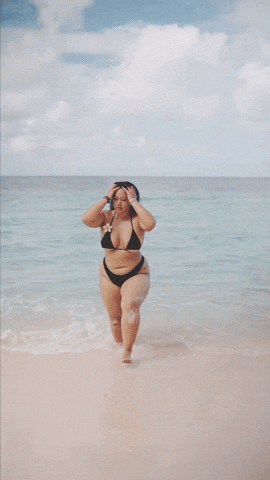 vilecoyote giphyupload GIF