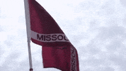 missouri state flag GIF by Missouri State University