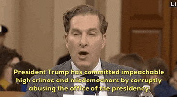 news impeachment impeachment inquiry noah feldman GIF