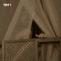 What Happened Omg GIF by TRT