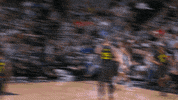high five vince carter GIF by NBA