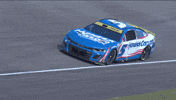 Stock Car Racing GIF by NASCAR