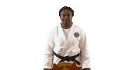 France Sport Sticker by Paris Saint-Germain Judo