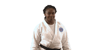 France Sport Sticker by Paris Saint-Germain Judo