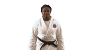 France Sport Sticker by Paris Saint-Germain Judo