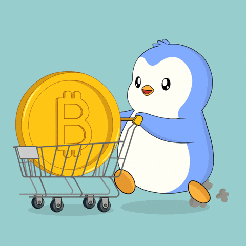Black Friday Shopping GIF by Pudgy Penguins