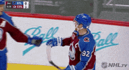 Ice Hockey Sport GIF by NHL