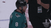 ice hockey sport GIF by NHL