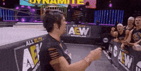 Aew On Tnt Nylarose GIF by All Elite Wrestling on TNT