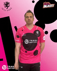 Ball Bat GIF by Somerset County Cricket Club