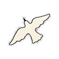 닥터브로너스 Sticker by DR. BRONNER’S KOREA