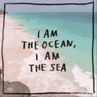 ocean app GIF by The Videobook