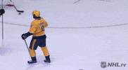 happy ice hockey GIF by NHL
