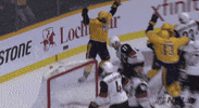 Celebrate Ice Hockey GIF by NHL