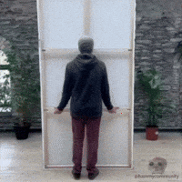 Picture Memecoin GIF by Sad Hamster