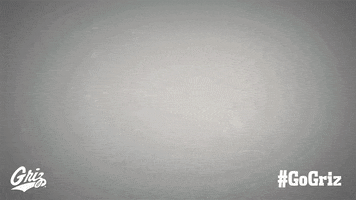 University Of Montana Football GIF by Montana Grizzlies