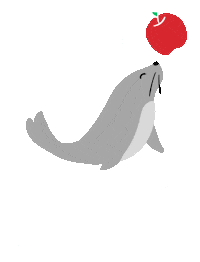 Dieta Sticker