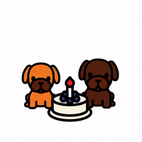 Celebrate Happy Birthday GIF