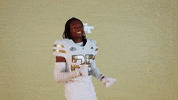 Georgia Tech Football Sport GIF by Georgia Tech Yellow Jackets