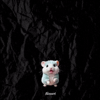 Nissart crazy animal pet silly GIF