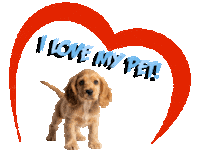 Guinea Pig Love Sticker