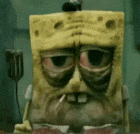 Bob Esponja Spongebob GIF