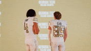 Georgia Tech Football Sport GIF by Georgia Tech Yellow Jackets