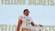 Georgia Tech Football Sport GIF by Georgia Tech Yellow Jackets